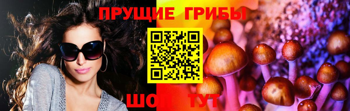 Псилоцибиновые грибы Psilocybe Ревда